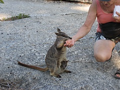 CairnsTC121 Granite Gorge